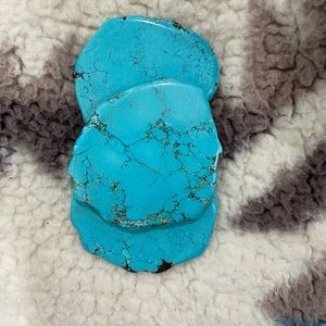 Turquoise buckle